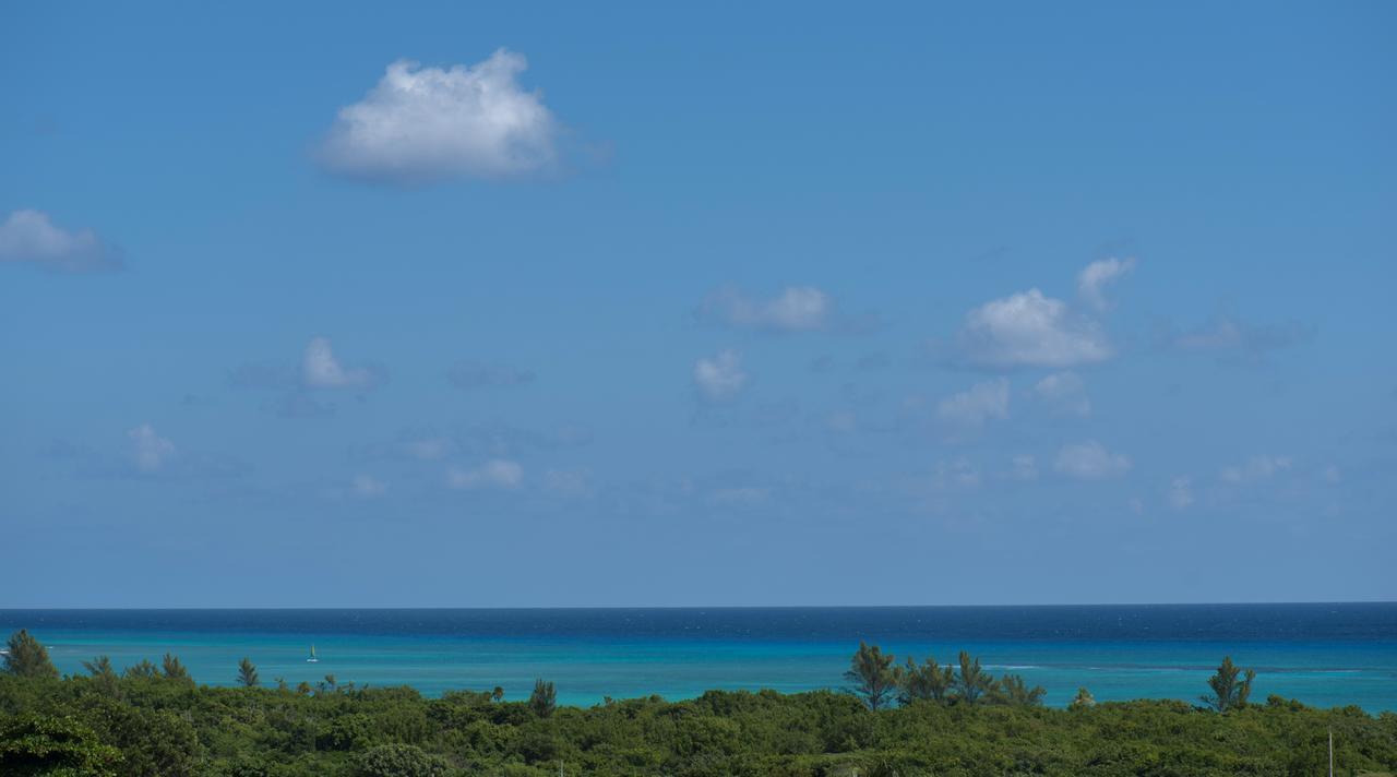Portea Hotel 5Th Ave Midtown Playa del Carmen Eksteriør bilde